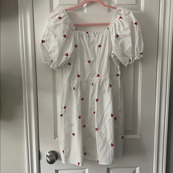 Cider Cherry Embroidery Mini Dress Women's Large Puff Sleeves Twee Cottagecore - Picture 7 of 8